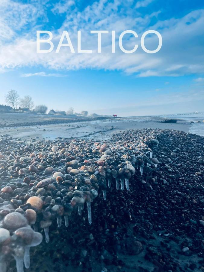 Baltico Letniskowe *